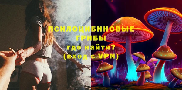 дживик Алексеевка
