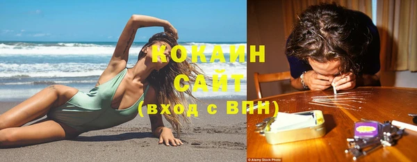 крисы Аркадак