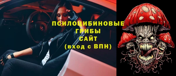 крисы Аркадак