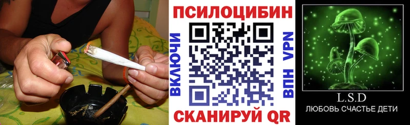 что такое   Сочи  Галлюциногенные грибы мицелий 